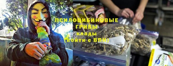 Альфа ПВП Новодвинск
