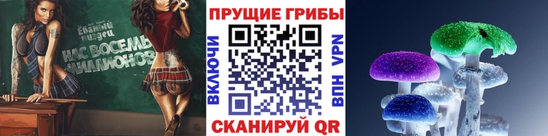 Купить закладки  Сафоново  Псилоцибиновые грибы Magic Shrooms 